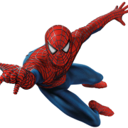 File ng Spider-Man Png