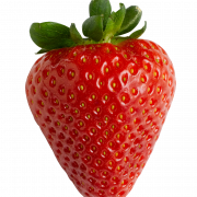 Strawberry High-Quality PNG