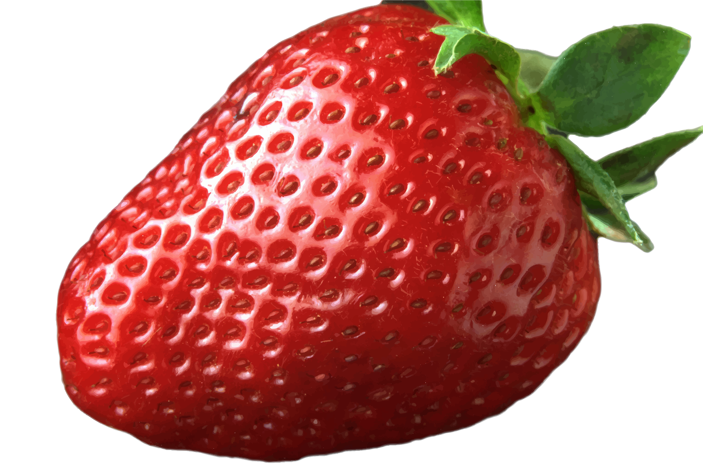 Strawberry Transparent