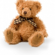 Teddy Bear PNG Arquivo