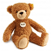 Teddy bear png imahe