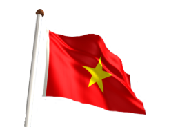 Vietnam Flag PNG File