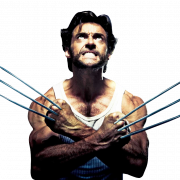 Wolverine PNG Picture
