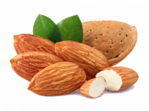 Almond Free Download PNG