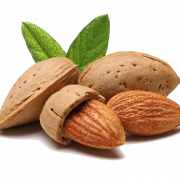 Almond PNG File