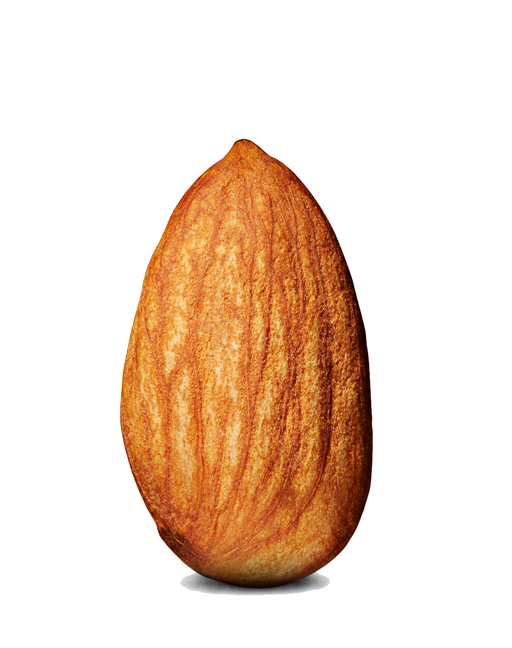 Gambar almond png
