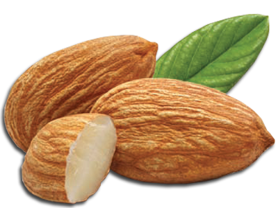 Almond PNG Picture