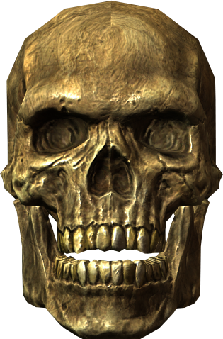 Ancient_Traveler's_Skull