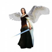 Angel Warrior PNG