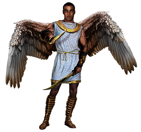 Ang Angel Warrior PNG Imahe