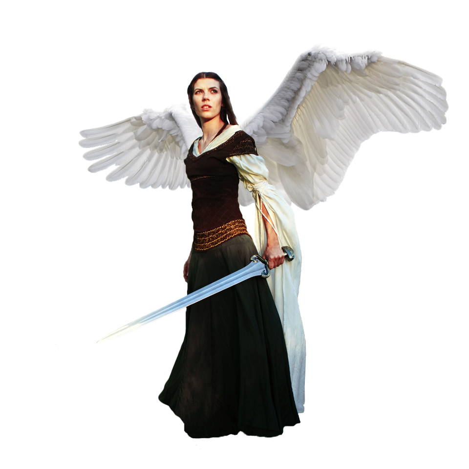Angel Warrior PNG