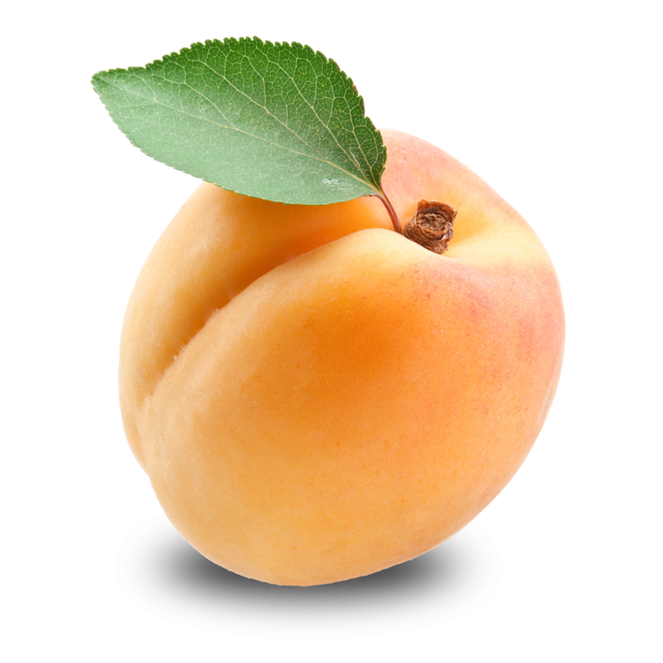 Aprikose kostenloser Download PNG