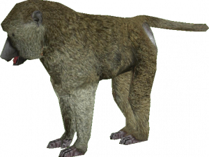 Baboon PNG Clipart