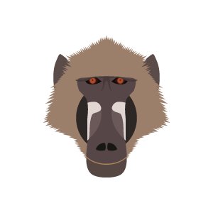 Baboon PNG Image