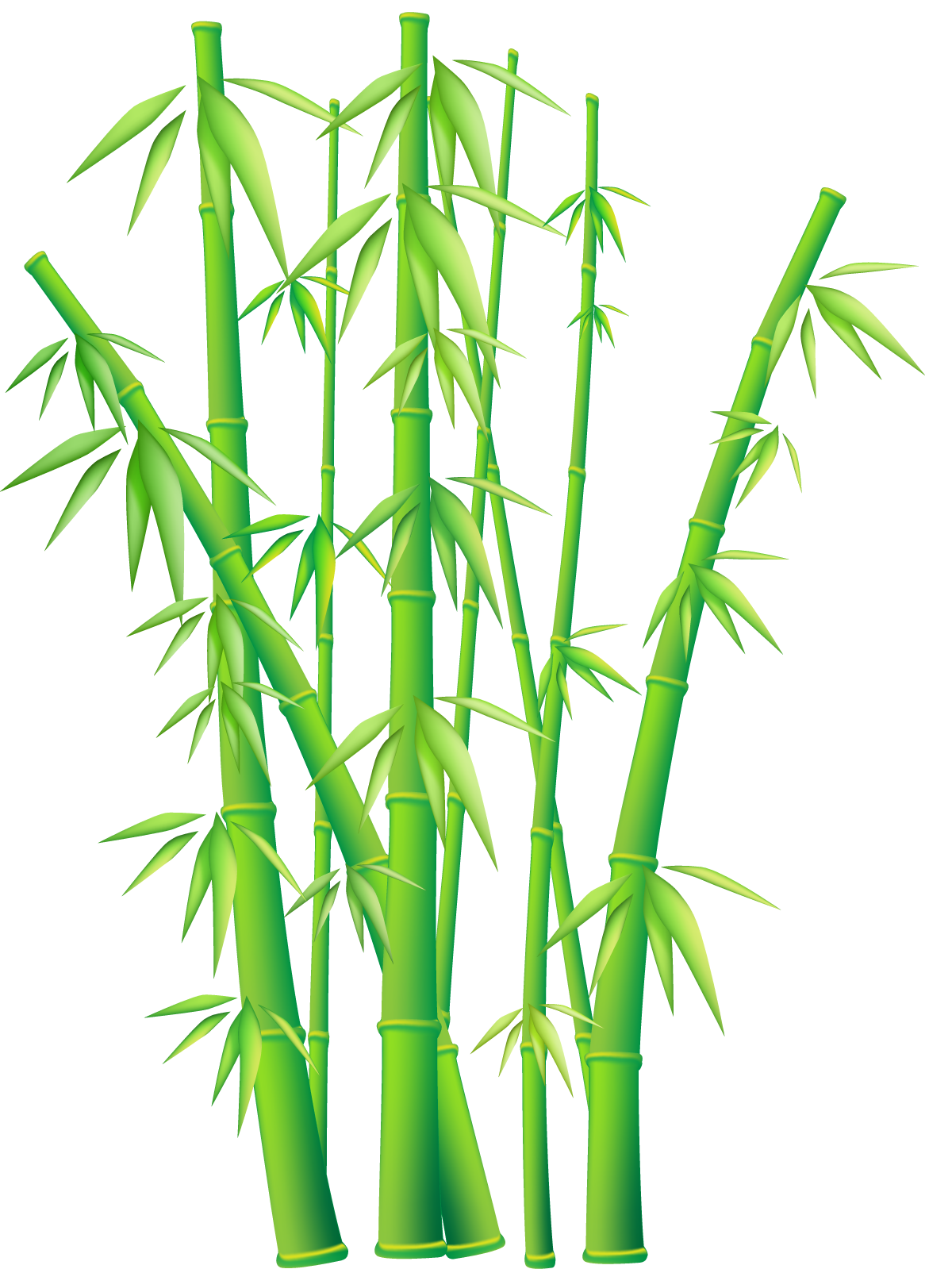 File PNG di bambù