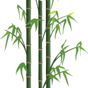 Gambar bambu png