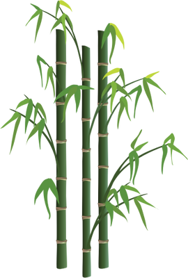 Immagine PNG di bambù