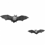 Bat png pic