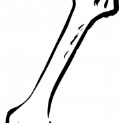 Bone Free PNG -afbeelding