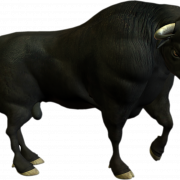 Bull PNG