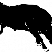 Bull PNG Picture
