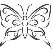 Прозрачный дизайн татуировки бабочек прозрачно