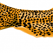 Cheetah PNG Pic