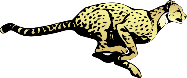 Çita png resmi