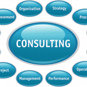 Consultant PNG Clipart