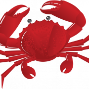 Crabe PNG