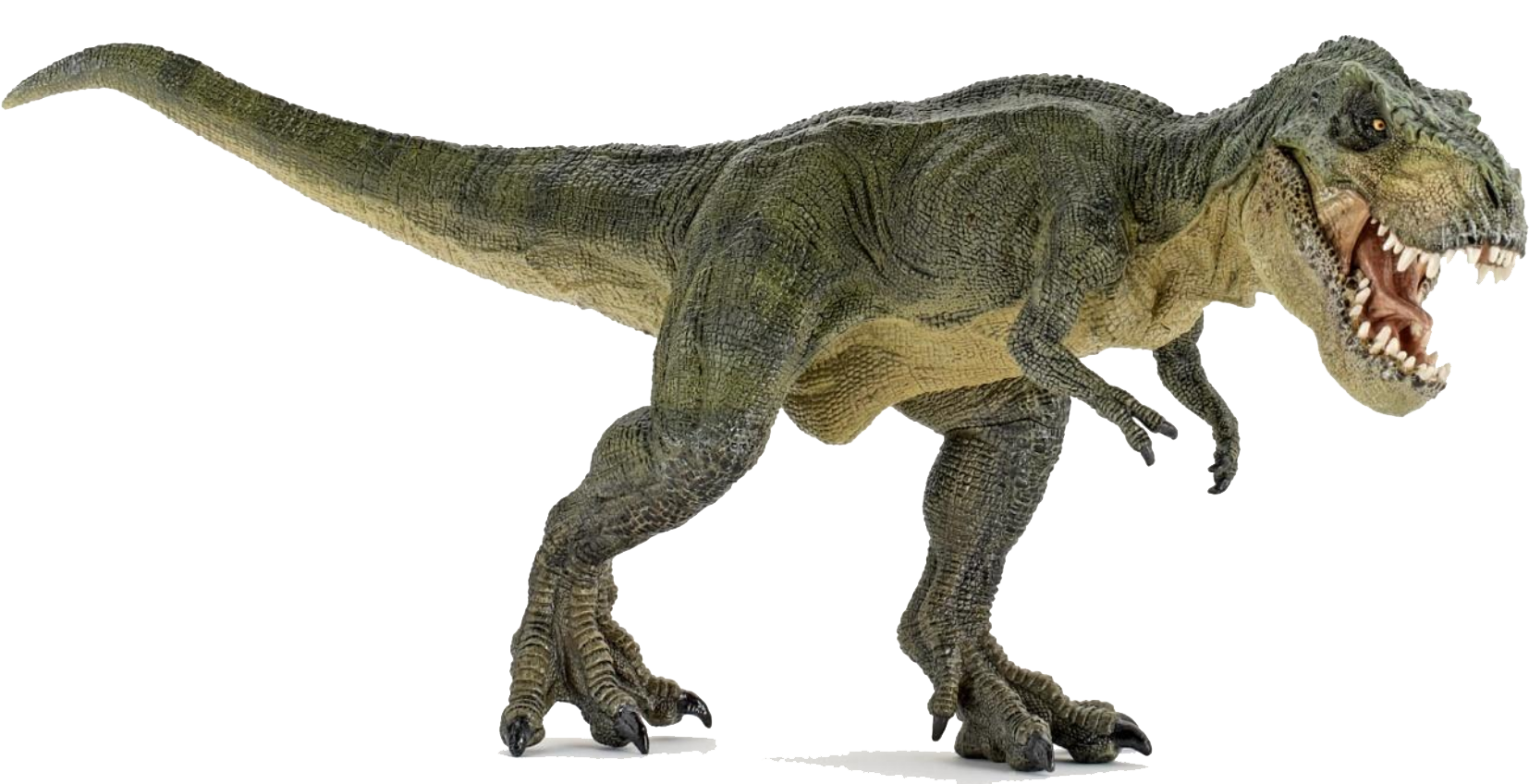Динозавр PNG Clipart