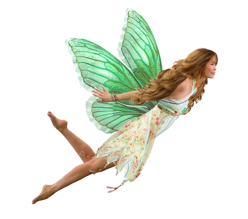 Fairy PNG File