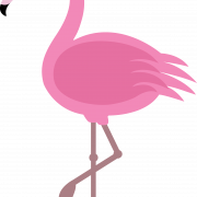 Flamingo PNG di alta qualità