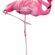 Flamingo trasparente