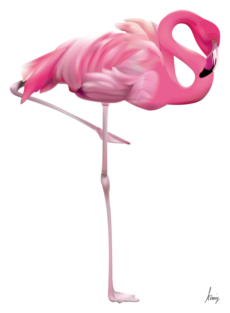 Flamingo trasparente