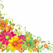 Blumendage PNG -Bild
