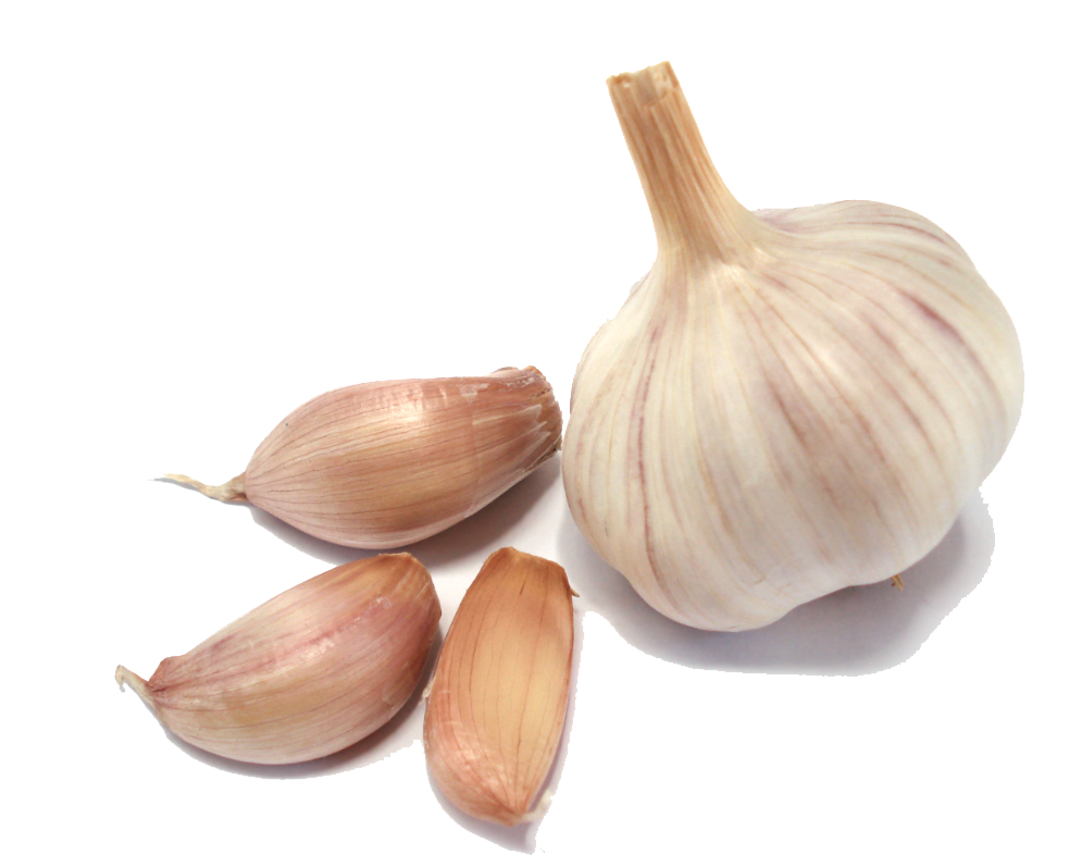 Garlic PNG Clipart