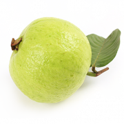 Guava Free Download PNG