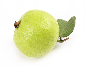 Guava Free Download PNG