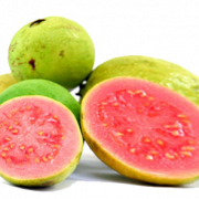 Guava png Bild