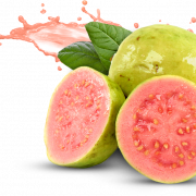 Guava png Bild