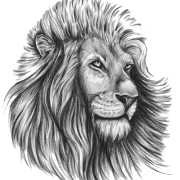 Lion Tattoo Libreng Pag -download ng Png
