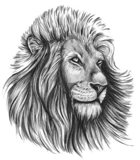 Lion Tattoo Libreng Pag -download ng Png