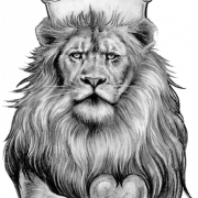 Lion Tattoo PNG Clipart