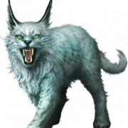 Lynx png clipart