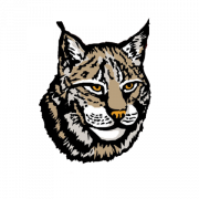 Lynx png afbeelding