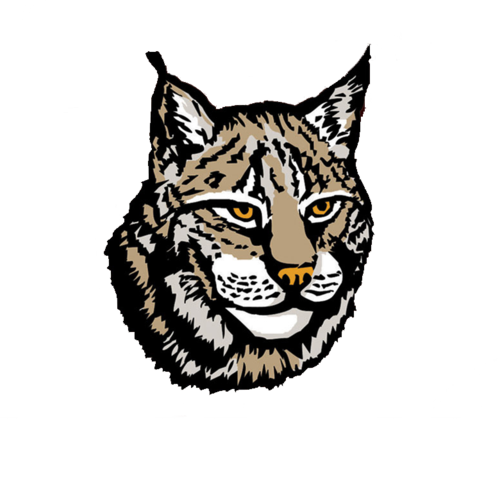 Lynx PNG Image