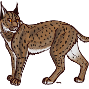 Lynx transparant