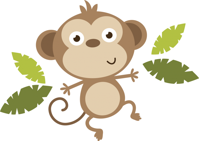 Monkey PNG Immagine