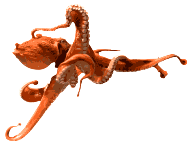 Octopus PNG Clipart
